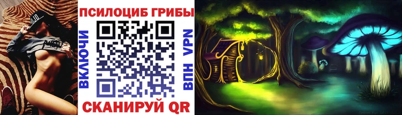 Галлюциногенные грибы GOLDEN TEACHER  закладки  Пошехонье 