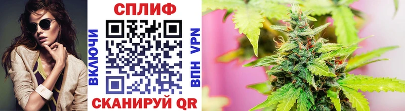дарнет шоп  Пошехонье  Бошки Шишки VHQ 